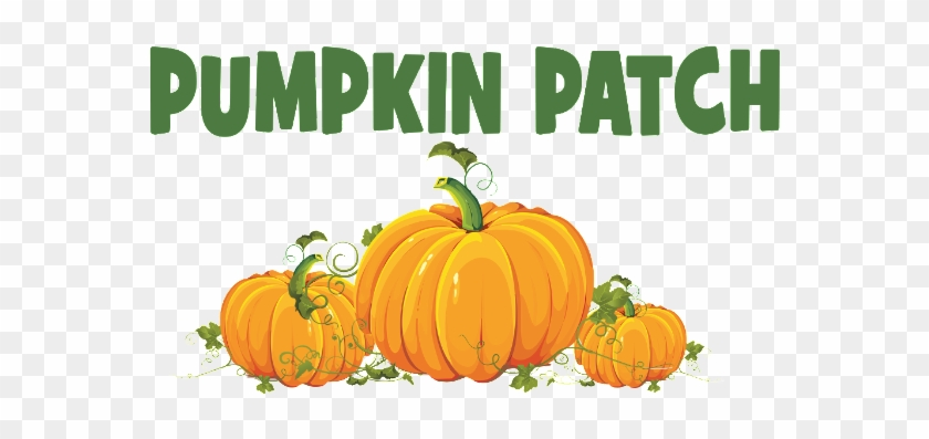 Pumpkin Patch