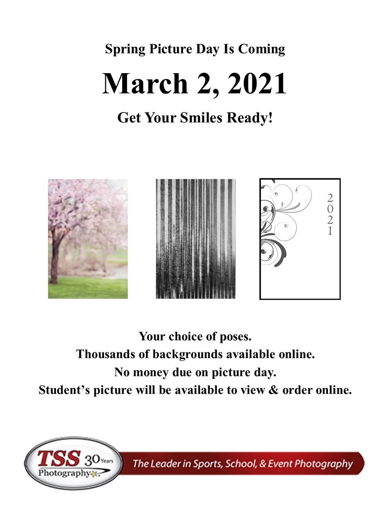 Spring Picture information